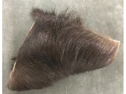 Moose Hair - Natural