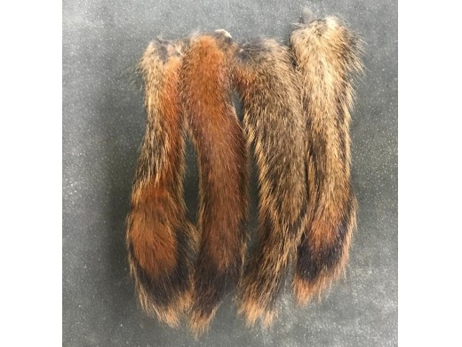 Squirrel Tail - 4 Pack