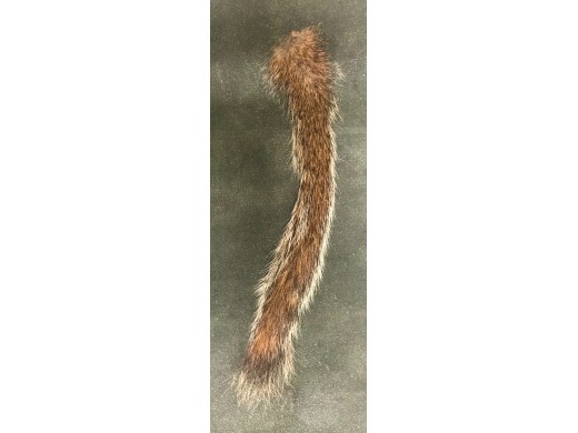 Hare Line Dubbin - Grey Squirrel Tail