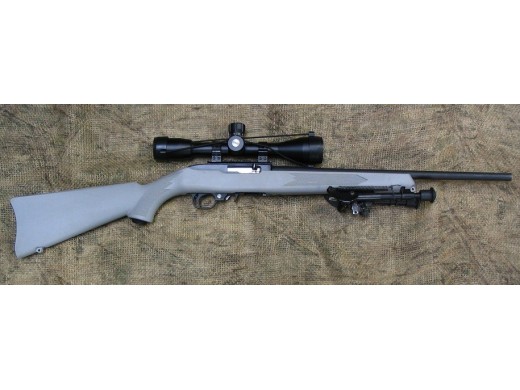 Ruger - 10/22